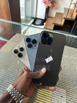 Apple iPhone 13 Pro Max (Used)