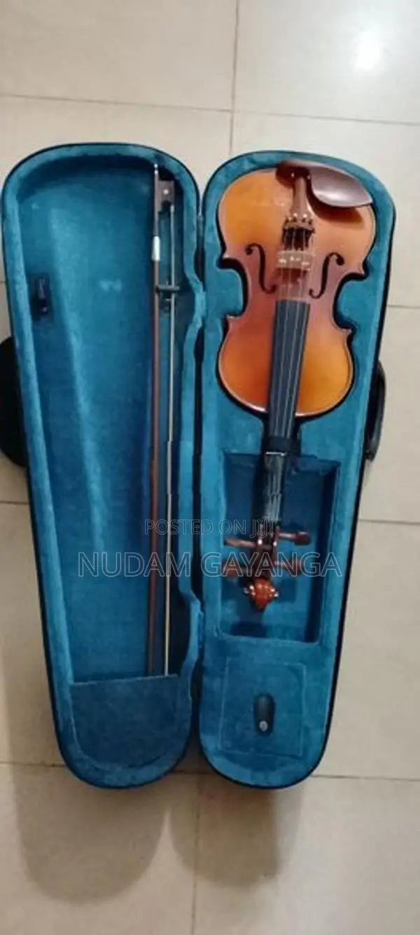 Orchestra Violin