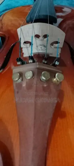 Orchestra Violin