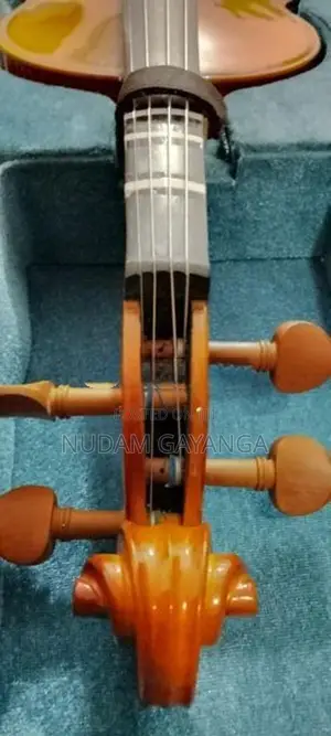 Orchestra Violin