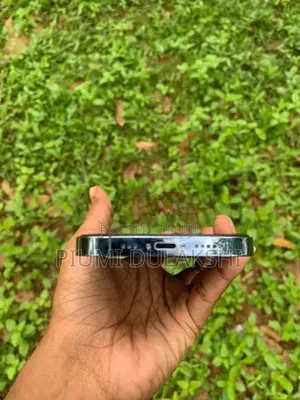 Apple iPhone 13 Pro (Used)