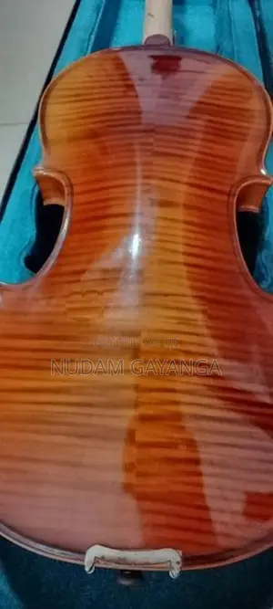 Orchestra Violin