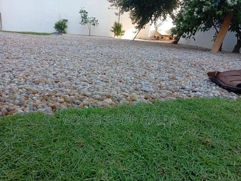 Grass Roll Carpet