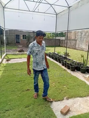 Grass Roll Carpet