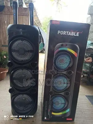 Portable Wireless Speaker