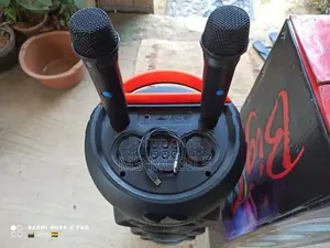 Portable Wireless Speaker