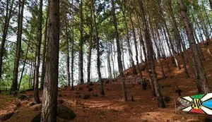 Land for sale in Ella