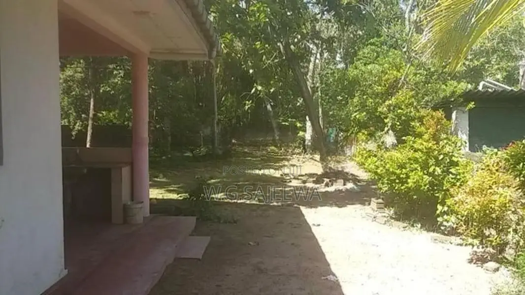 Main Road Facing Commercial House Rent in Ja Ela