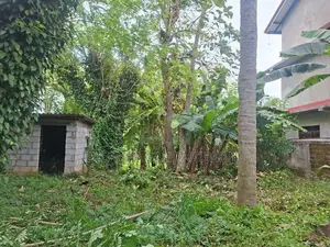 Valuable Flat Land for Sale in Monaragala (15 Perches)