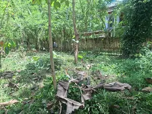 Valuable Flat Land for Sale in Monaragala (15 Perches)