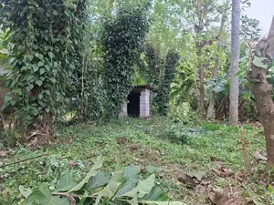 Valuable Flat Land for Sale in Monaragala (15 Perches)
