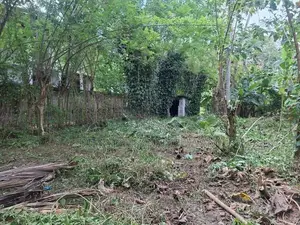 Valuable Flat Land for Sale in Monaragala (15 Perches)