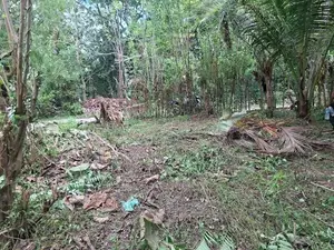 Valuable Flat Land for Sale in Monaragala (15 Perches)