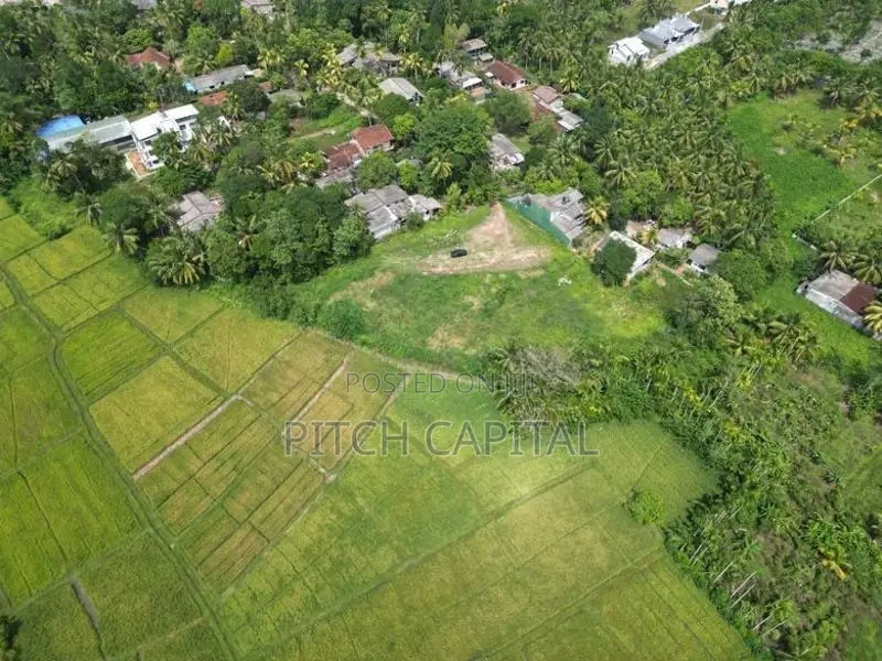 Scenic Paddy Field View Land for Sale in Kahathuduwa