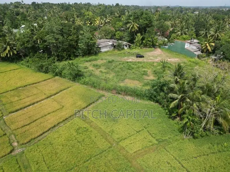Scenic Paddy Field View Land for Sale in Kahathuduwa