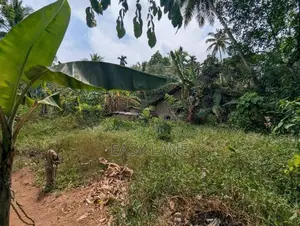 Land for Sale in Mirigama