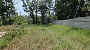 Land for Sale in Webada