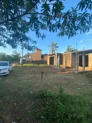Negombo Semuthu Uyana Katuwapitiya 12.5 Land