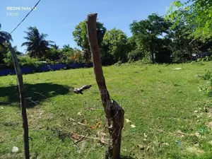 Land for Sale Kinniya