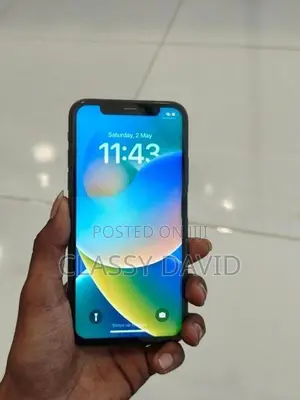 Apple iPhone X (Used)
