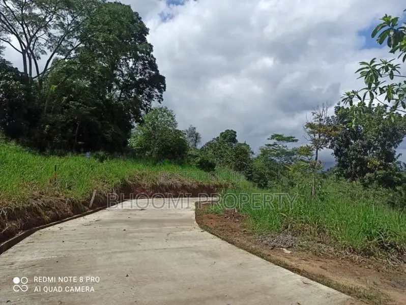 පේරාදෙණිය නගරයට සමීපවම බිම් කොටස්