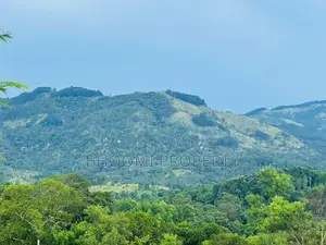 Doluwa හන්තාන කදු පෙනෙන මානයේ ඉඩමක්