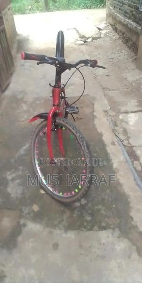 Bicycle