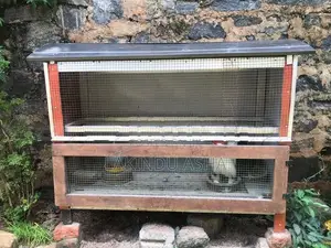 Oeg Breeding Pair with Cage