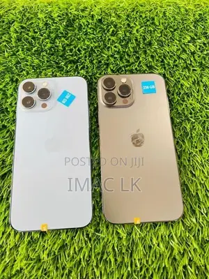 Apple iPhone 13 Pro Max 256GB (Used)
