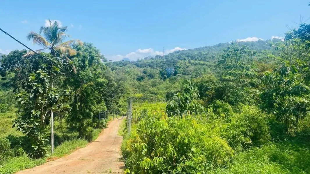 land for sale in palpathwala