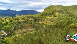land for sale in kithal ella
