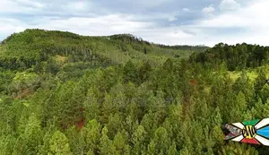 land for sale in kithal ella