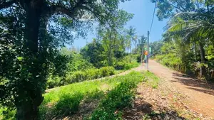 land for sale in palpathwala
