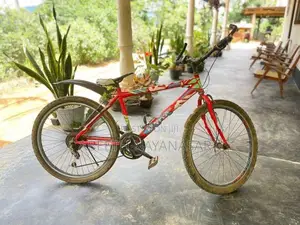 Kenton Bicycle 2020