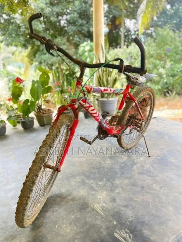Kenton Bicycle 2020