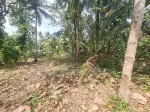 Land for Sale in Minuwangoda