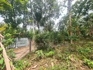 Land for Sale in Minuwangoda