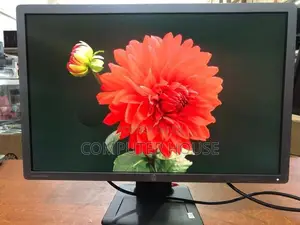 24’’ Wide LED Monitor