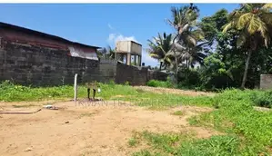 Valuable Land for Sale in Kelaniya