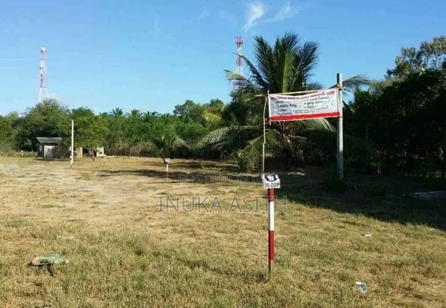 Land for Sale in Ranna