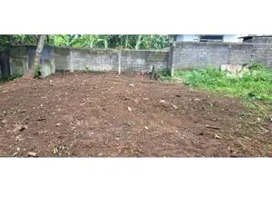 Valuable Land for Sale in Kelaniya