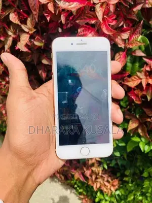 Apple iPhone 8 64GB (Used)