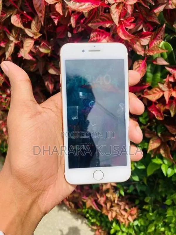 Apple iPhone 8 64GB (Used)