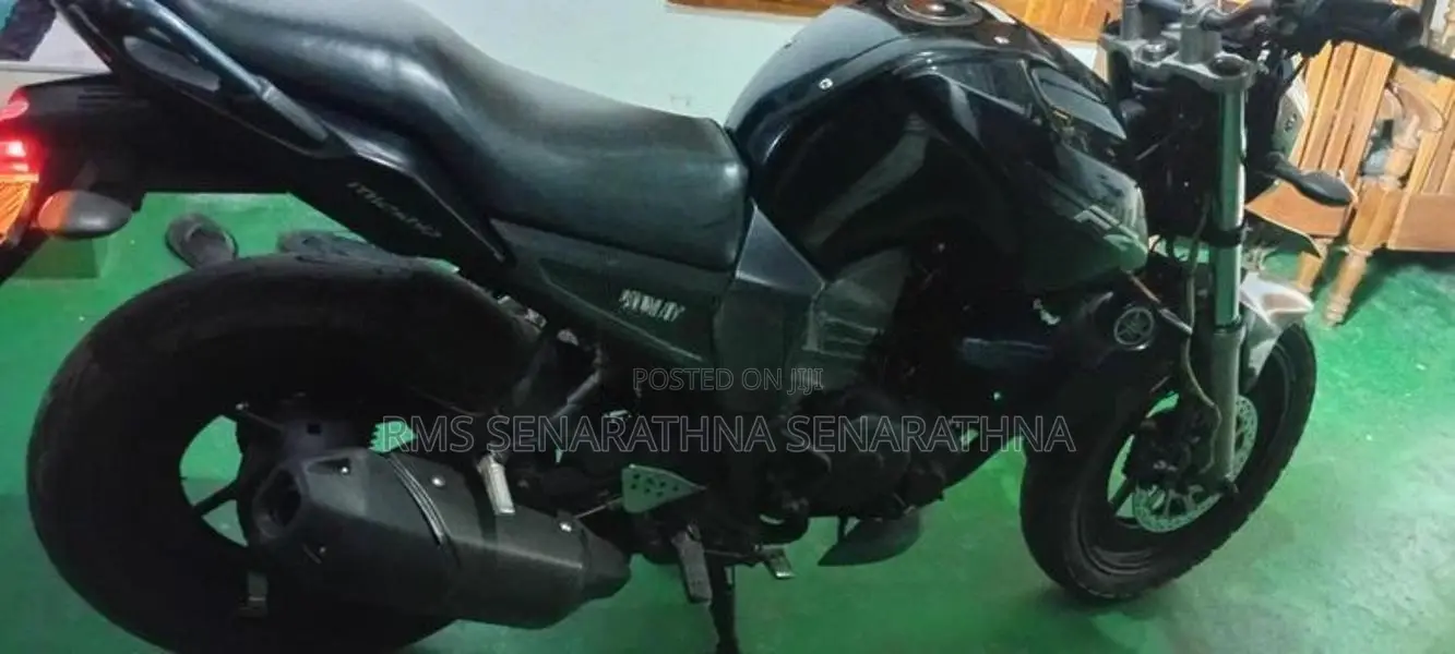 Yamaha FZ 2009