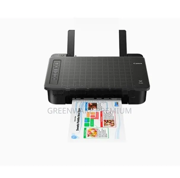 Canon Wireless Printer Pixma (TS307)
