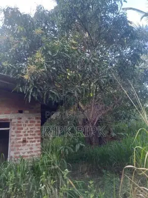 Land for Sale Monaragala