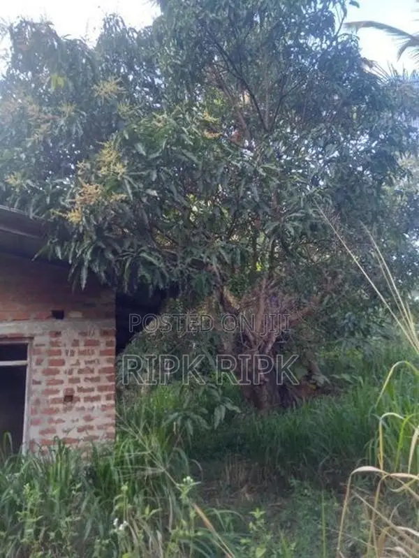 Land for Sale Monaragala