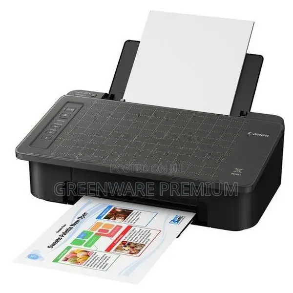 Canon Wireless Printer Pixma (TS307)