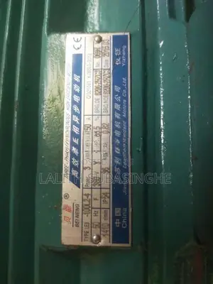 3 Phase Motor