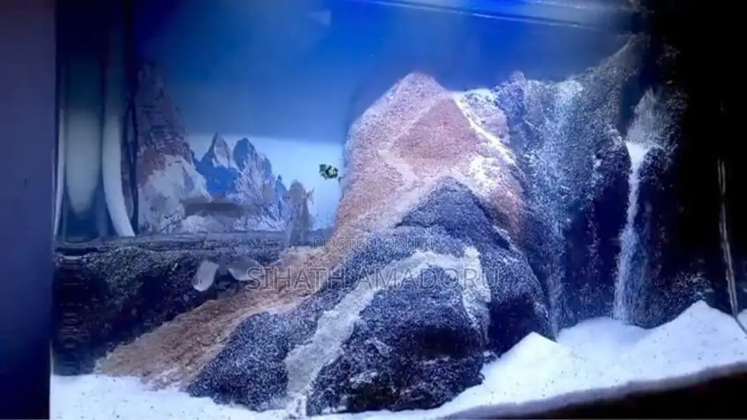Curved Glass Full Set Fish Tank with Stand